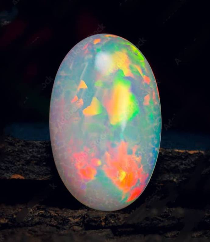 WhatsApp Image 2025-02-06 at 7.39.46 AM